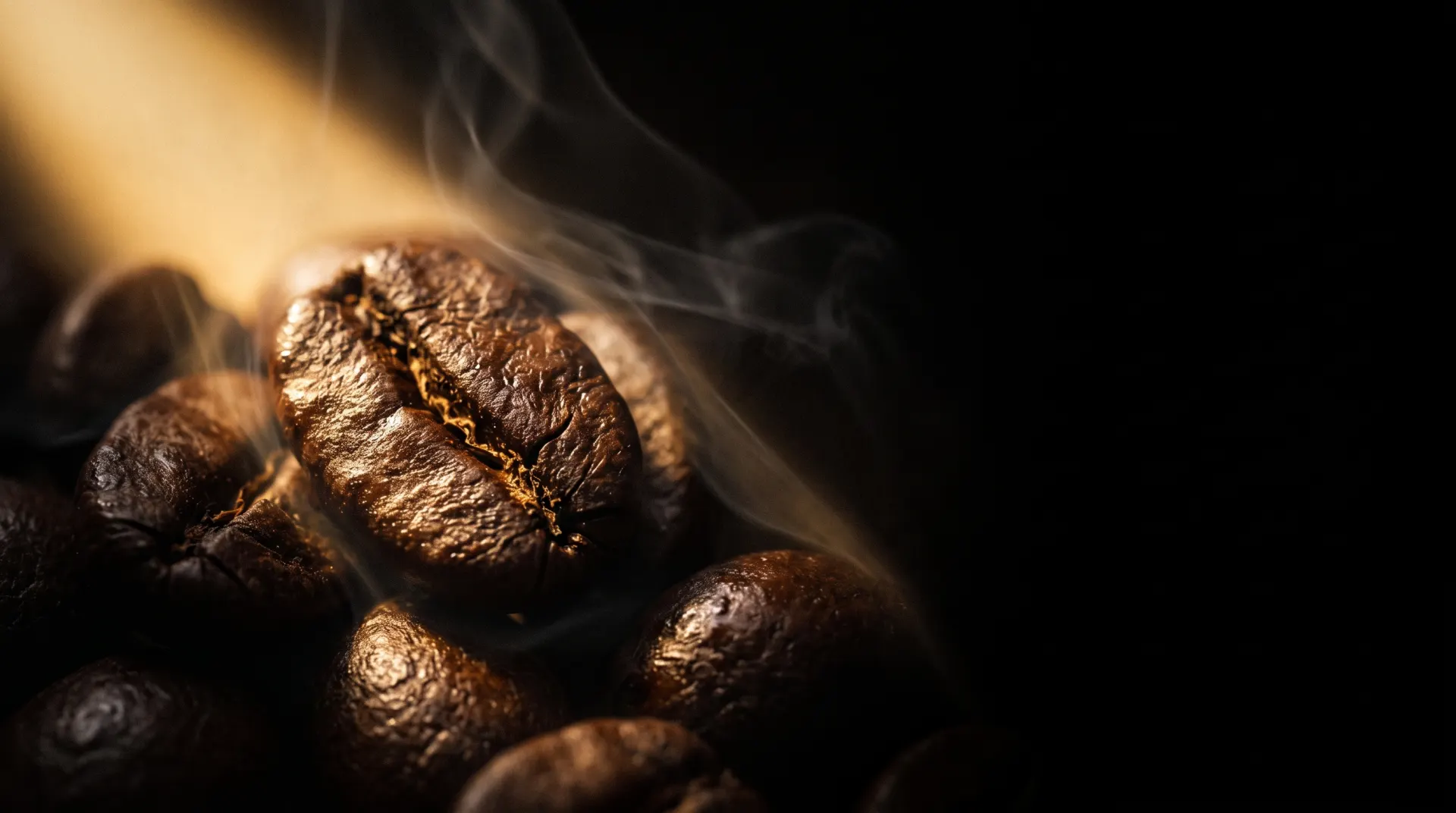 Dunkel geröstete Black-Savan-Kaffeebohnen im goldenen Streiflicht